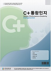 C+통합인지검사(초등용3~4학년)